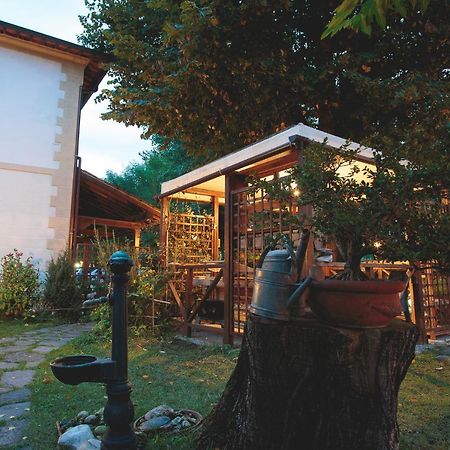 Hotel Giuly 托雷德尔格拉戈普奇 外观 照片